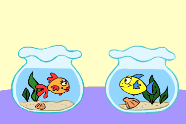 regardez l'amour de poisson