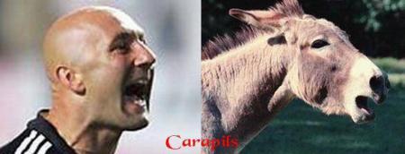 bartez