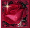 une fleur de souka